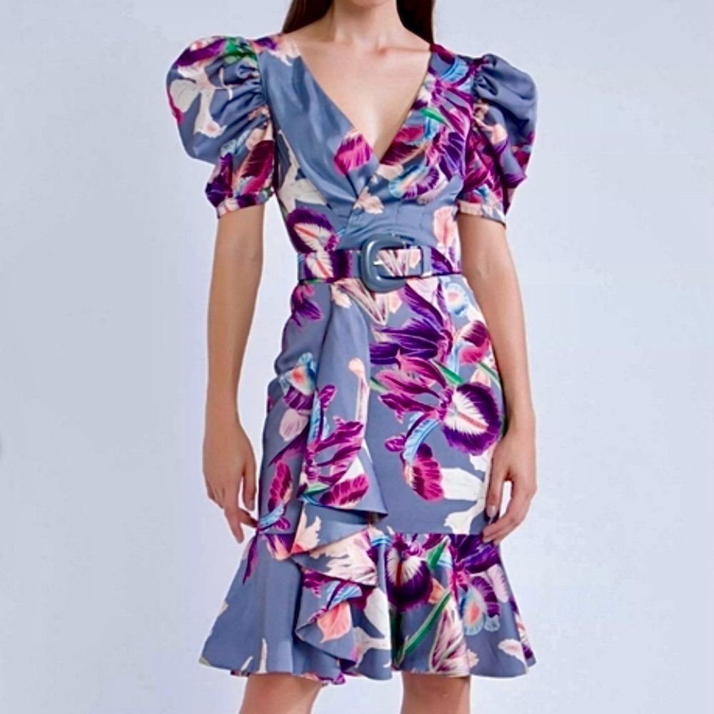 PatBO Iris Floral Print V-Neck Belted Ruffle Mini Dress - Size 4